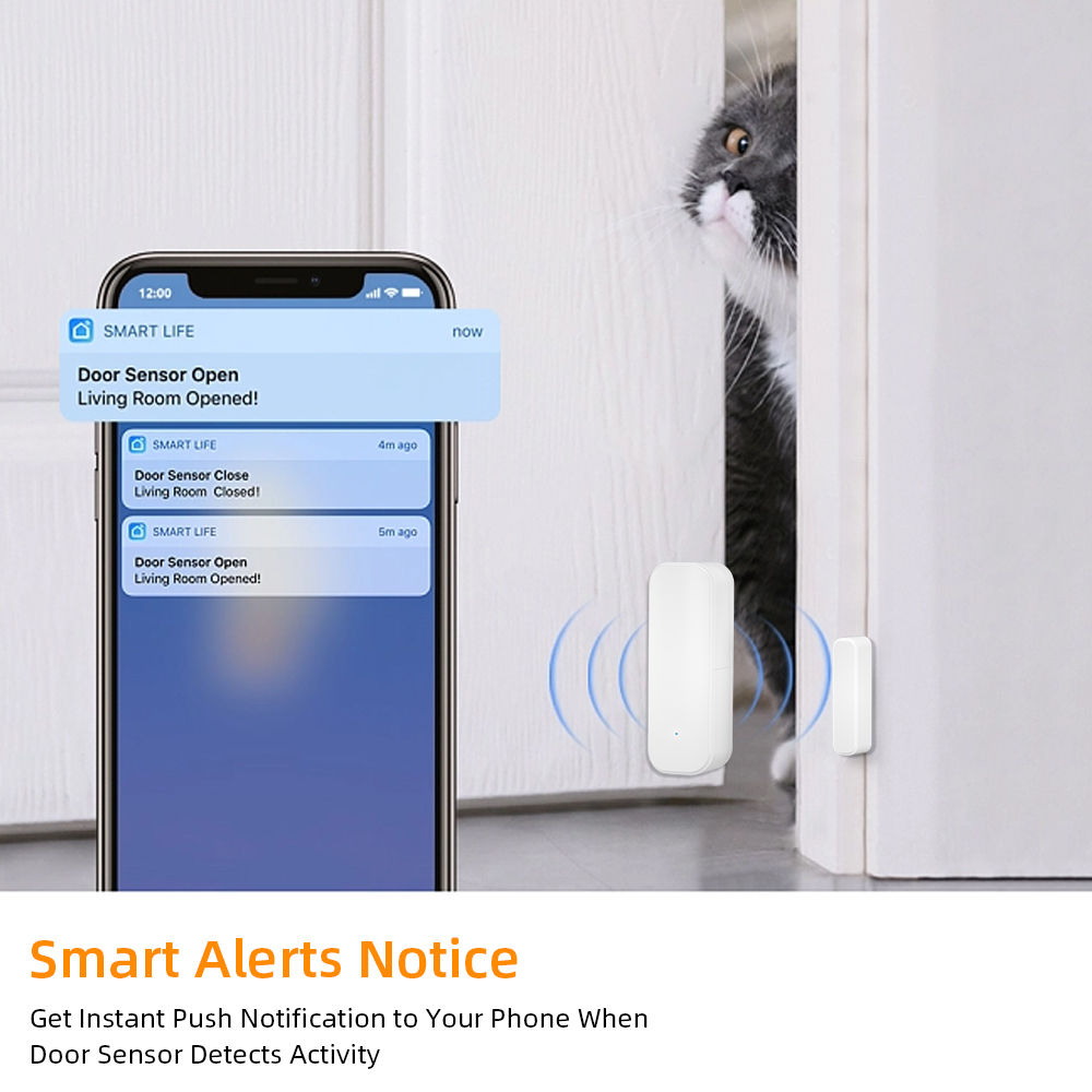 Zigbee 3.0 Wireless Door Windo - Power Tools Google ulasan dan harga
